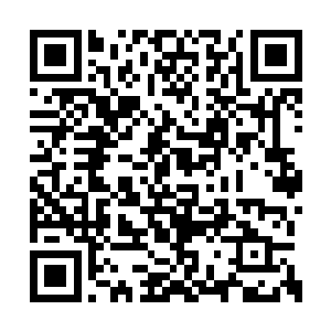 但几条死而不僵的巨蟒却用最后的力量缠住了她二维码生成