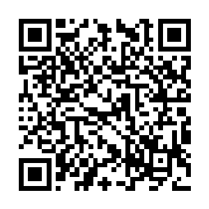 但凡出自这混沌神殿中的各种太古凶兽身上的宝物二维码生成