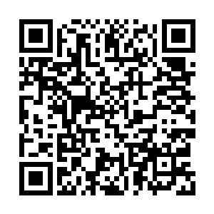 但凡能想得到的她都提前准备了出来并带出空间二维码生成