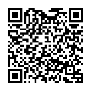 但凤羽珩提醒的关于八皇子的状态他又不得不重视起来二维码生成