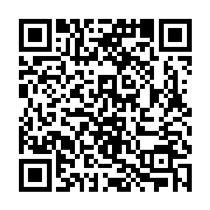 但凭借手中阴阳生死镜以及自己对于灵魂力量的理解二维码生成