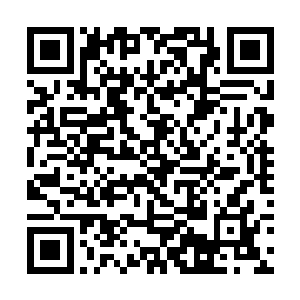 但刘轩看了半响也看不出这片草丛和那片有什么关系二维码生成