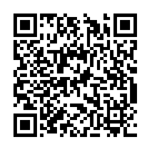但到底是什么让它不远难以计数的距离而来到这里二维码生成