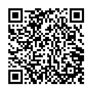 但到魏辰这种能玩得起女明星层次的人毕竟还是极少的二维码生成