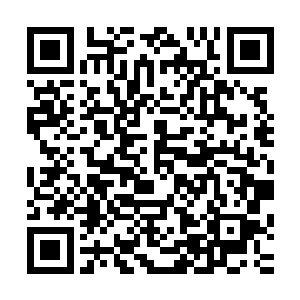 但前几年狄云起等人灭杀了进犯羿界域的大批西荒界域的修士二维码生成