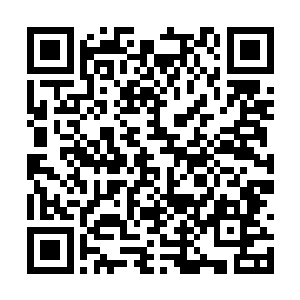 但前几日的兽潮入侵却让他们改变了对阿牛的看法二维码生成