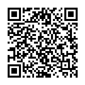 但前提必须是lv6巅峰的异能者才能承受这种激活方法二维码生成