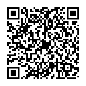 但前方忽然传来了闪光灯和按动快门的声音――杰瑞手里拿着相机二维码生成
