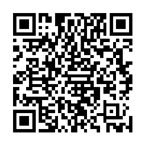 但剧烈的轰击却还是轰碎了圣甲虫人身上那厚厚的黑色虫甲二维码生成