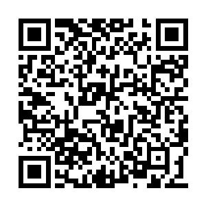 但剩下的十个人却从眸子里面射出了火热的光芒二维码生成