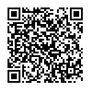 但剩余的火焰却是转化为更多的火焰之拳如同火雨一般扫射向天空二维码生成