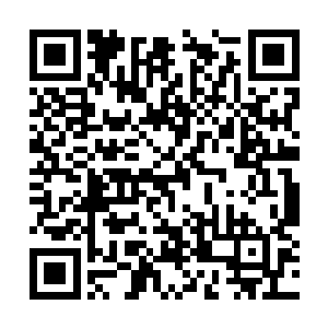 但勉强可以辨认出于画面左下角的天元和血妖两界二维码生成