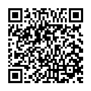 但十八名石族此刻却皆在距离荒天塔不足里许的地方盘膝打坐二维码生成