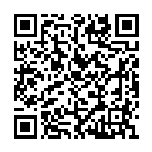 但南寻风却逼着自己将这种熟悉的感觉压制下来二维码生成