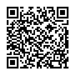 但卢向东已经迫不及待地开始了新房的装修设计二维码生成