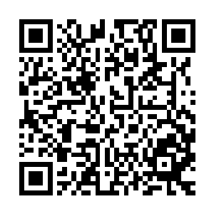 但却不妨碍卢向东通过她附在介绍信后面的简历进行推理和分析二维码生成