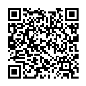 但却不知道隐藏在这层光亮皮囊之下的肮脏和艰辛二维码生成