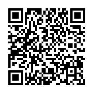 但却丝毫不影响星光大道的瞩目程度和权威地位二维码生成