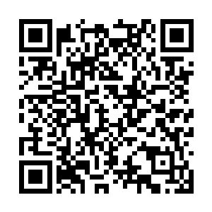 但却也因此失去了了解金晶真正价值与意义的途径二维码生成