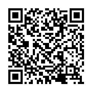 但却也深知自己在武之圣土这浩瀚的修武世界内二维码生成