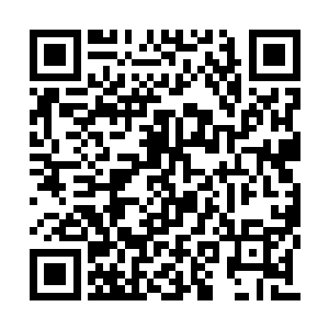 但却也还是同意了让影子拿了pdd所推荐打野潘森二维码生成