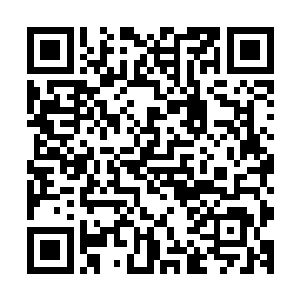但却又不甘心的一二级宗门和家族从其他拍卖场高价购买走了二维码生成