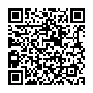 但却只是在这巨鳌的硬壳上留下了一个深度仅有半寸来许的划痕二维码生成