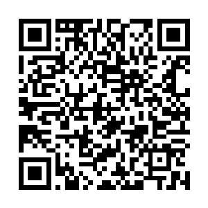 但却始终拥有着极为可怕的实力……哪怕是初入至尊境二维码生成