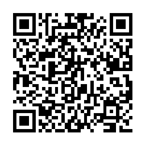 但却完全没必要利用叶秋这个点来完成她的计划二维码生成