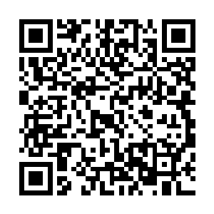 但却很难修炼到至尊层次的……哪怕是用技能熟练度去堆积二维码生成