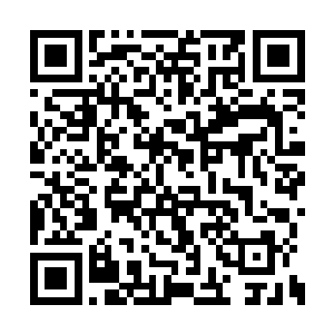 但却成了岚盟内部精灵王国和人类诸国的缓冲带二维码生成