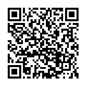 但却掌握着一些从来不会在人界出现的神秘灵物二维码生成