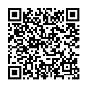 但却无法容忍拉达曼迪斯去威胁楚旬等人的安危二维码生成