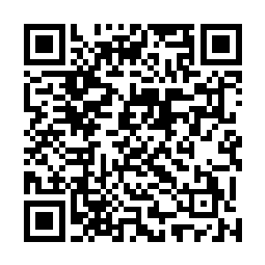 但却无论如何都没办法将那只手从风暮寒的脚底下抽回来二维码生成