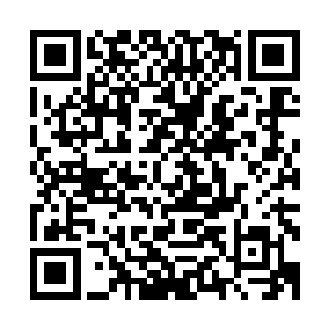 但却是一点痕迹也留不下来了……维京人除了力量很可怕之外二维码生成
