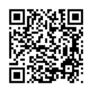 但却是跟平南将军府的人一起回来的二维码生成