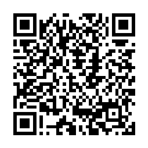 但却有着龙岩在一旁辅导外加自己现在修为精进的缘故二维码生成