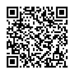 但却有许多关于这座城堡和洛克菲勒家族的消息二维码生成