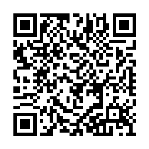 但却极有气质和威严的男人盯着信息中心的主管二维码生成