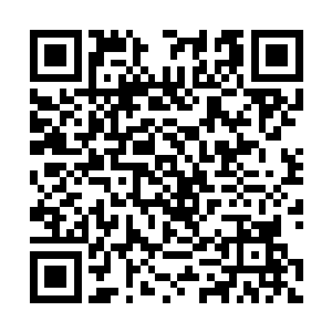 但却没有人能说清楚这家伙的防gank意识为什么会这么强二维码生成