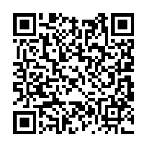 但却还是围绕着金色巨牛的身躯周围的……盯着它二维码生成