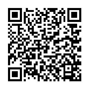 但原本生活在地面上的辐射族和改造人并未全部灭绝二维码生成