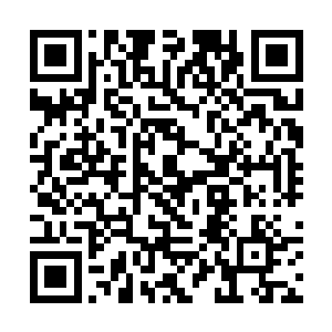 但参与这场大战的将士却大多永远无法与家人团圆了二维码生成