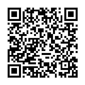 但又没有重要到必须要耗费巨额能量回返蓬莱的地步二维码生成