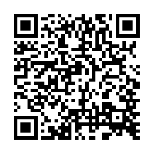 但又立刻被觉非罗接下来的一句话给撵回了十八层地狱二维码生成