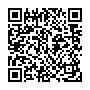 但双目的恶毒就算明眼人都知道这次是不死不休的结果了二维码生成