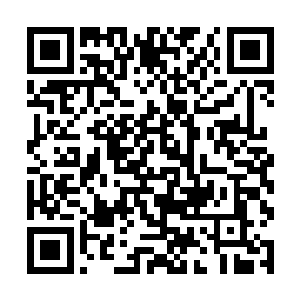 但口头交涉或多或少还能让玩家们试探出一些情报来二维码生成