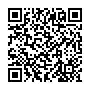 但只不过是精神力和声浪所凝聚出来的攻击而已二维码生成