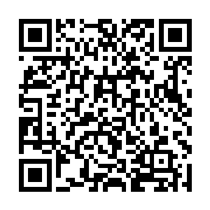 但只感觉自己的手臂就像撞在一头奔跑的犀牛上一样二维码生成