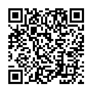 但只是生死境初期的单信几人都觉得有些压力如山大二维码生成